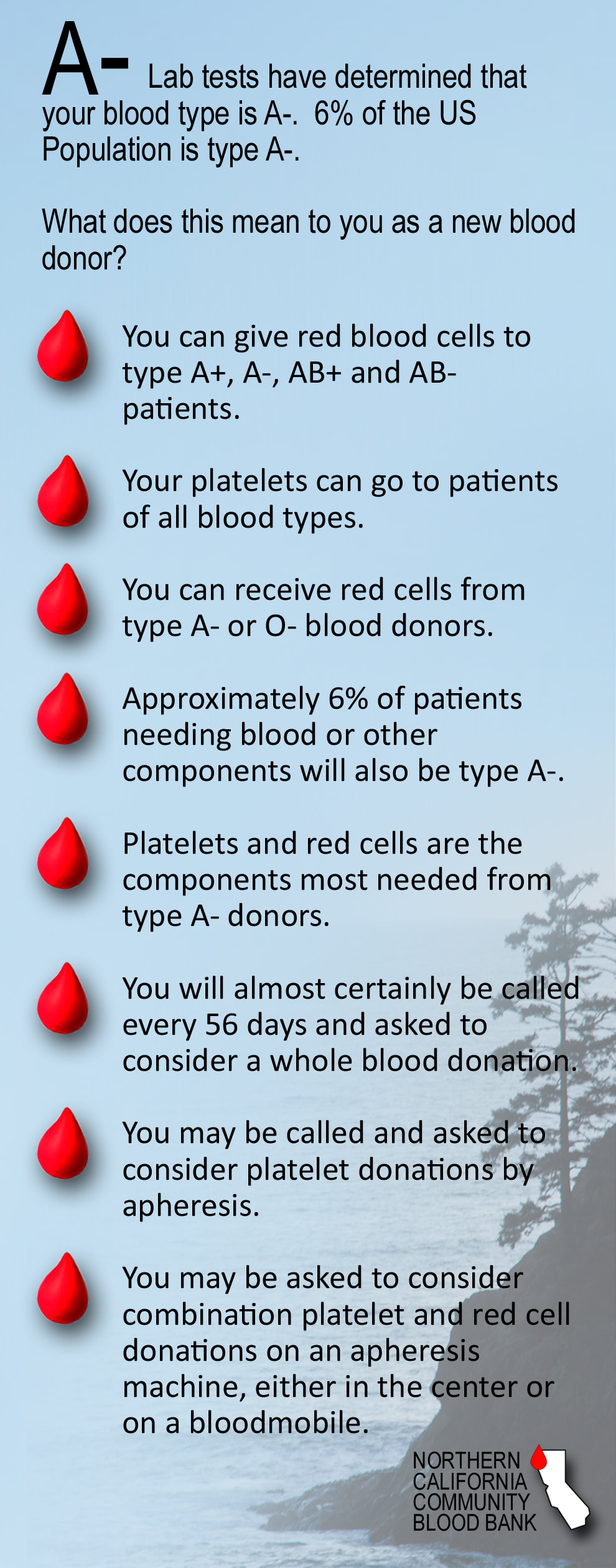 Blood Type Rarity Chart