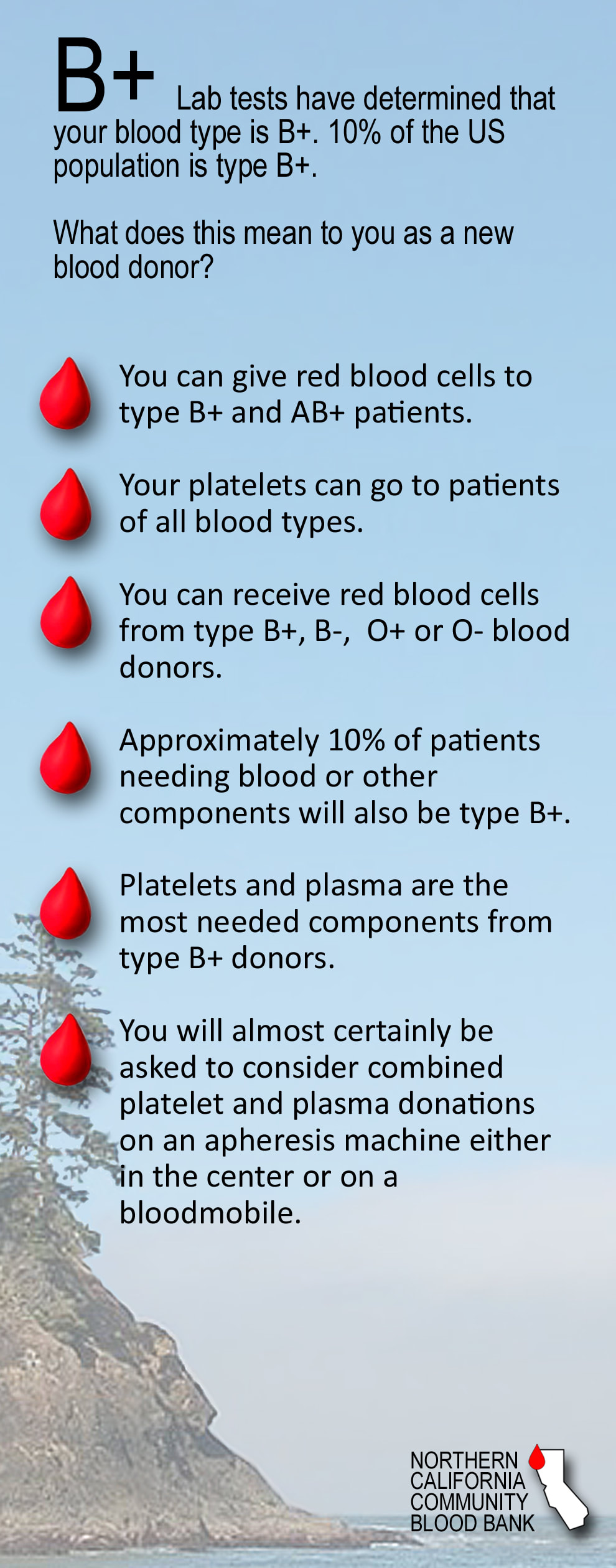 Human Blood Types Northern California Community Blood Bank